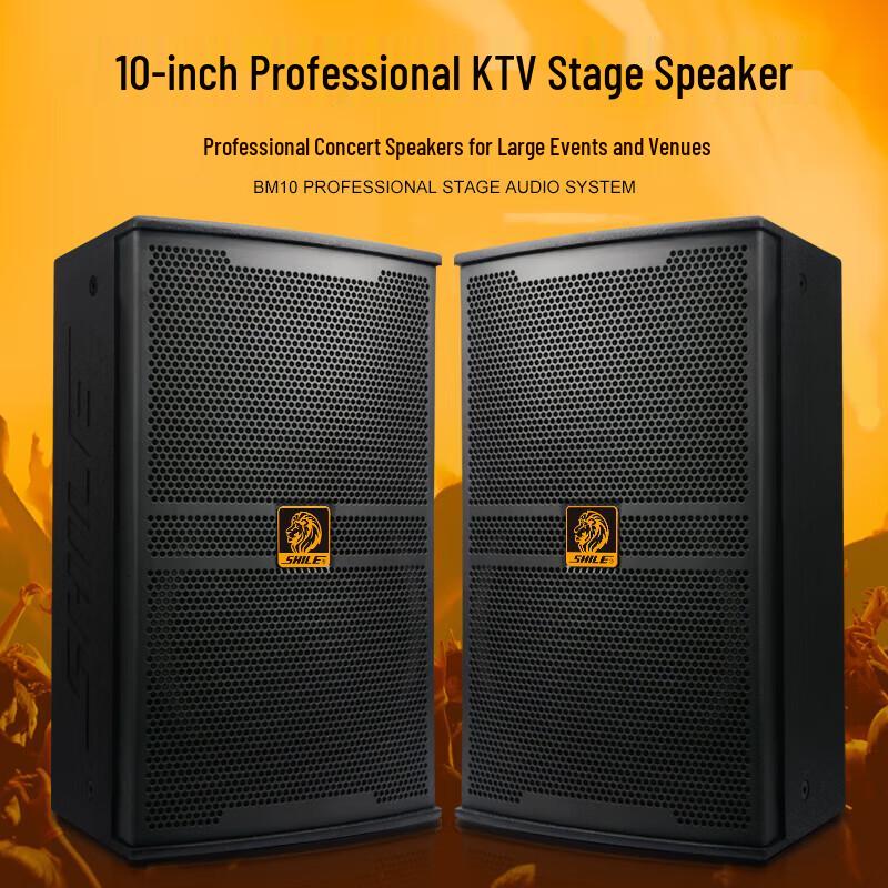 Shile BM-10 10-inch Professional Stage Speaker (CN Version)