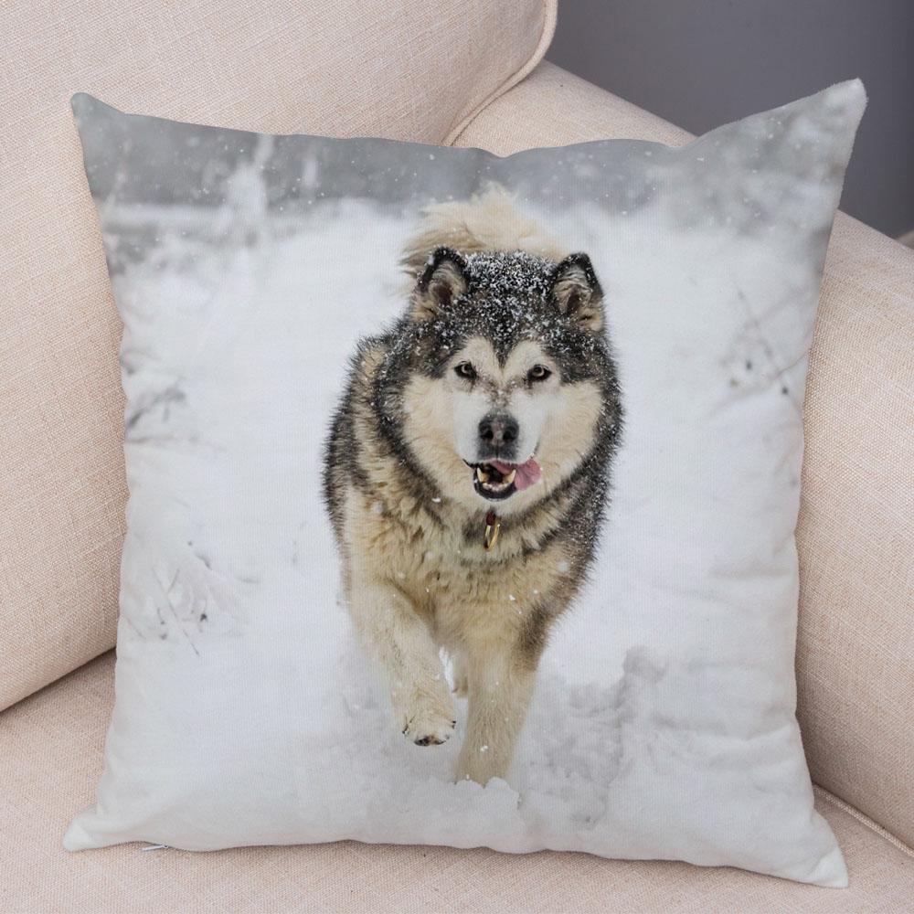 Decor Cute Siberian Husky Pillowcase Pet Dog Printed Super Soft Short Plush Pillow Case 45*45cm Animal Cushion Cover for Sofa