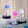 Ewige Rose Plastikhülle mit Lampe Goldfolie Blume Schmetterling Dekoration Valentinstag Kreatives Geschenk Tischdekoration