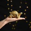 HindCraft Vastu Item | Feng Shui Golden Turtle with Coins | Good Luck Symbol