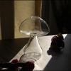 Mushroom Style Hydroponics Plant Vase DIY Transparent Glass Vase  Home Decor