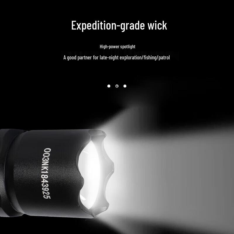 Ant Walk Rechargeable Tactical Security Flashlight