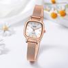 Light Luxury Fashion Simple Premium Square Small Dial Temperament Mesh Strap Waterproof Quartz Ladies Watch