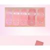 WAKEMAKE - Sheer Glow Liquid Blusher Set - 5 Colors