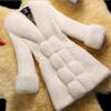 2 new autumn and winter imitation fur coat coat women's medium and long slim and thin imitation fox hair mother outfit