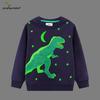 Autumn New Style Boys' Luminous Dinosaur Hoodie: Loose Fit, Round Neck, Long Sleeve Pullover