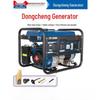 Dongcheng Portable Gasoline Generator CN plug (adapter included)