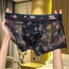 Mesh Men's Breathable Boxer Shorts - Transparent, Sexy, Quick-Drying, Summer Print