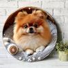 D Flat  VintageStyle Pomeranian Metal Wall Sign  Cm Round Aluminum Plaque with Adorable Dog Design  MultiPurpose Home
