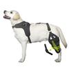 Ginocchiere Doppie per Cane per Legamento Crociato Rotto Zampe Posteriori Ginocchiere Doppie Antiscivolo per Zampe Posteriori con Pettorina Comfort