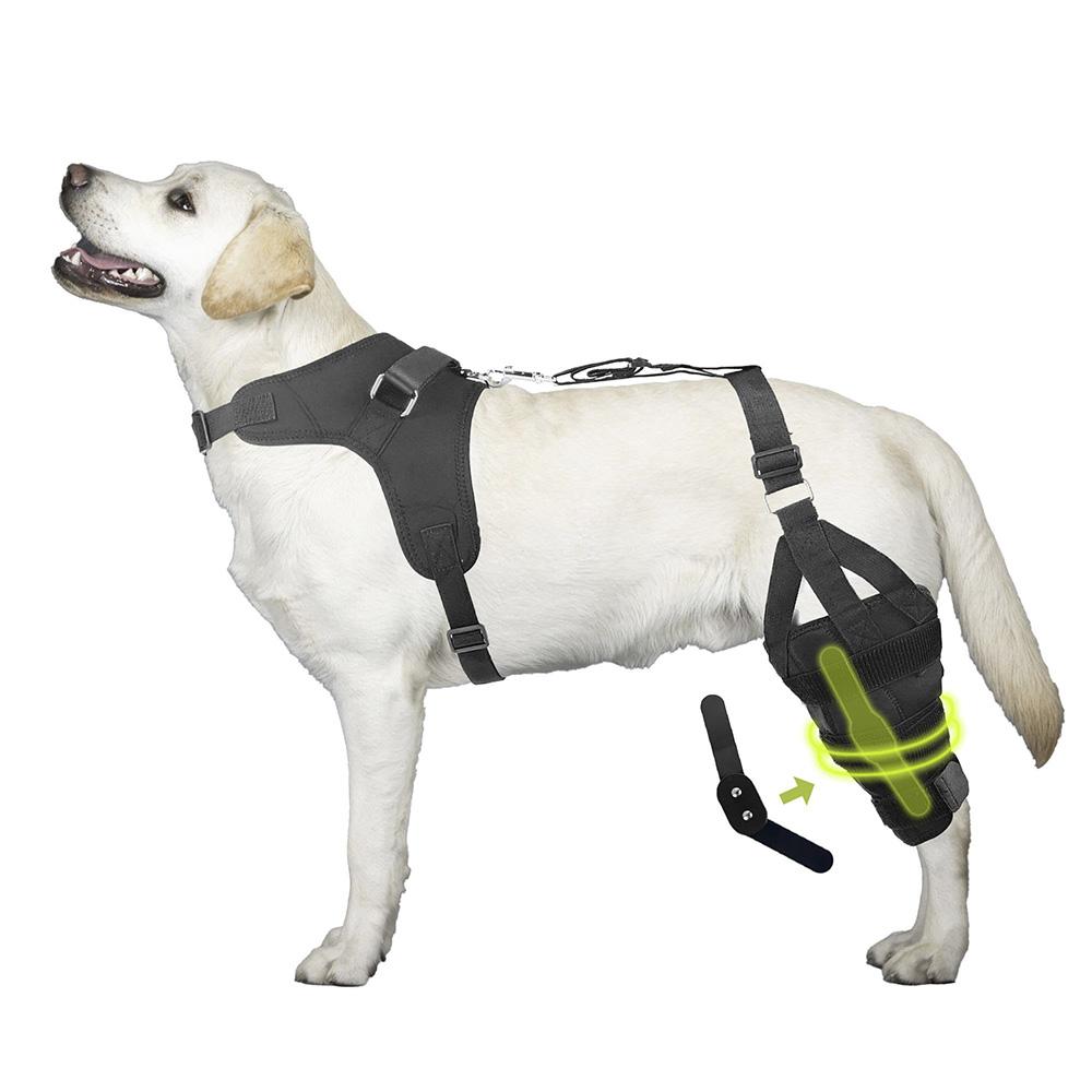 Ginocchiere Doppie per Cane per Legamento Crociato Rotto Zampe Posteriori Ginocchiere Doppie Antiscivolo per Zampe Posteriori con Pettorina Comfort