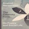 The Calamity Form  On Poetry and Social Life by Anahid Nersessian Paperback Book 9780226701318
