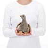 Carolata Humboldt Penguin Plush Toy Realistic Penguin Baby Toy Doll Gift Present Birthday Christmas Present (Chick/Soft Touch) (Twice Tested) /