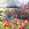 Gartenschattenabdeckung für Topfpflanzen und Poolbereich