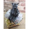 Toyosekiso Animal Ornament Reading Cat 11026