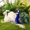 Peacock Plush Toy Collectors Edition Soft Animal Gift For Kids And Adults