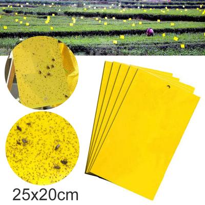 Outdoor Yellow Sticky Glue Flying Pest Insect Papers Traps Catchers Bugs 1//5PCS