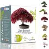 Gardening Kit - CULTIVEA - Mini Zen Bonsai Kit - Ready To Grow - Accessories Included - Made In France