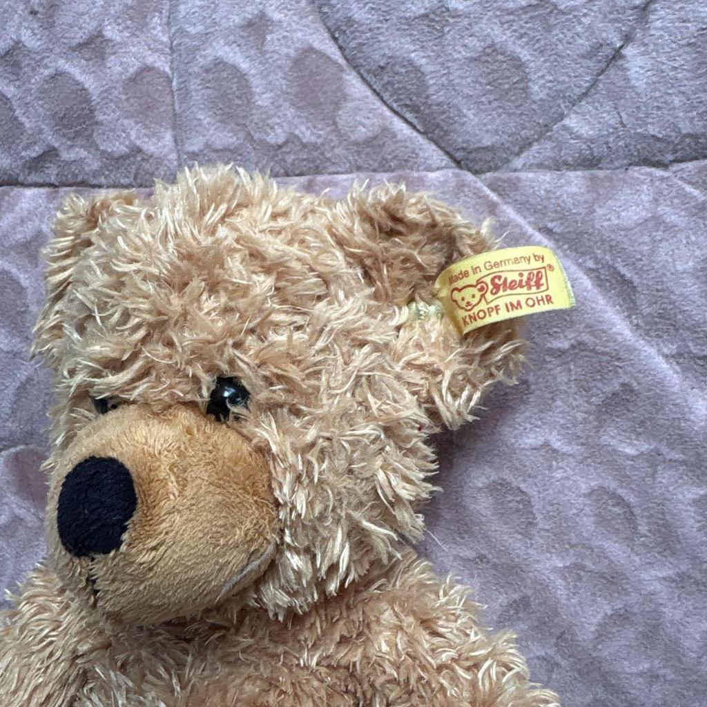 [USED] Steiff Teddy Bear Finn Gold