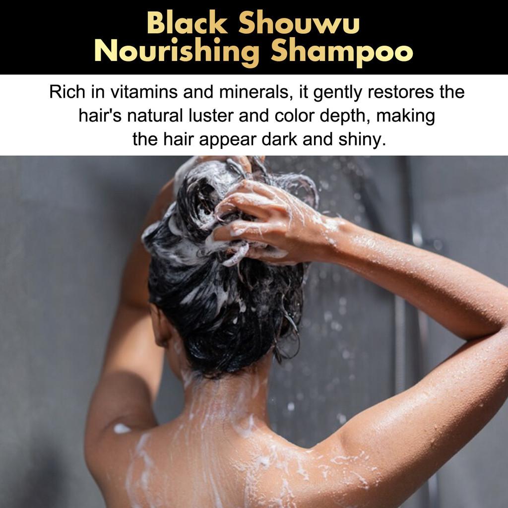 Eelhoe Black Lingzhi He Shou Wu Shampoo For Natural Black And Thick Hair Nourishing Scalp And Smooth Hair Care