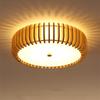Lishen Modern Nordic LED Ceiling Lamp