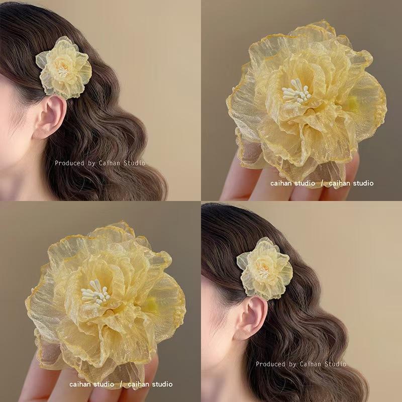 Netted Hair Clip