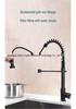 Pull-Out Kitchen Sink Faucet Aerator Spray Head
