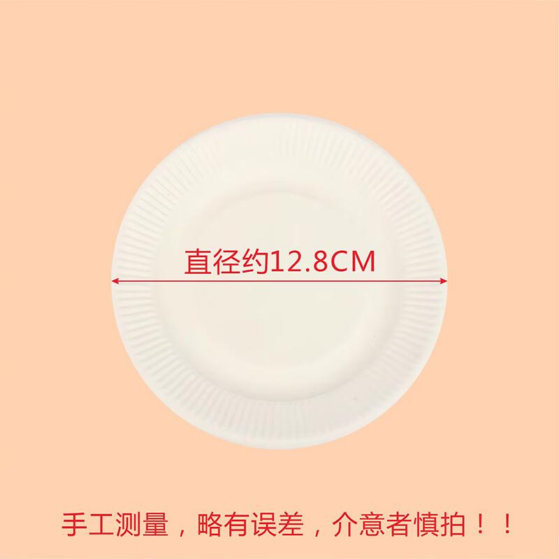 Disposable White Paper Plates
