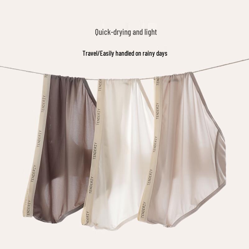Christies Women's Antibacterial Ice Silk Seamless Briefs 4-Pack