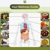250x176x10mm Human Health Guide Book Plant Theme Eating Recipe Spiral Binding Natural Book for Family Adult Elderly Chef Study