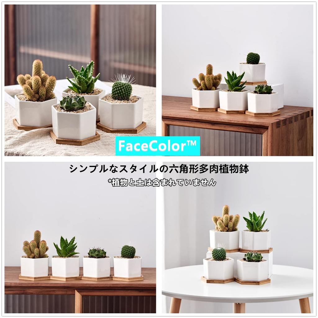 FaceColor Sukulent Ceramiczny Kaktus Sześciokątny z Podstawką Ociekową Biały Odpowiedni do Ogrodu Żywego Zestaw 4 szt. Nie Doniczka, Doniczka, Sadzarka, Doniczka, (Rozmiar 9106 CM),