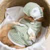 Spring and summer simple striped cat vest light and breathable bipod blue cat kitten hairless cat clothes set