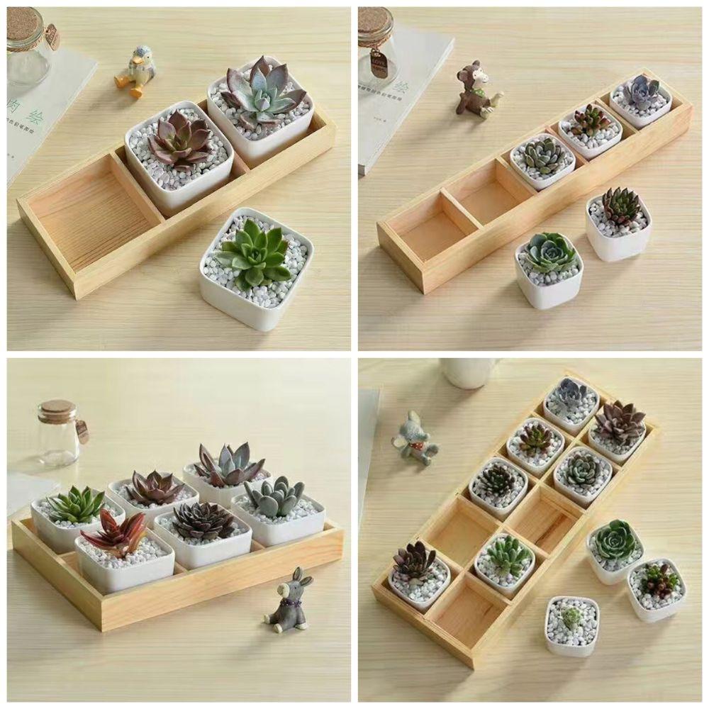Multifunctional Succulent Flowerpot Tray Multi-grids Desktop Sundries Organizer Storage Box