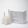 Modern Feng Shui Ceramic Flower Vase for Home Decor