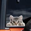 2 Pack 15x8.5cm Peeking Cat Funny Waterproof Vinyl Car Decal Exterior Decor Accessories for