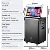 SAST Portable KTV Karaoke Speaker with 23-inch Screen CN Plug (adapter Included)