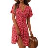 Women's Summer Casual Deep V-Neck Floral Print Dress for Daily Wear