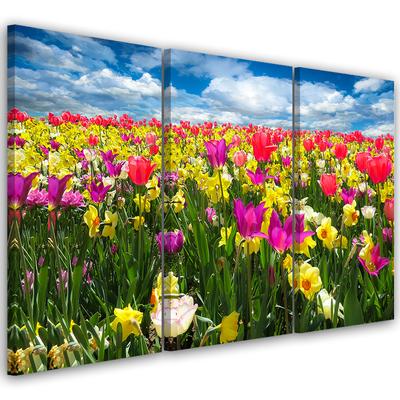 Three Piece Picture Canvas Print Colourful Flowers Meadow