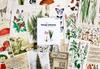 Wintertime Crafts Vintage Collection Postcard Pack of 30 Retro Style Nature and Ephemera Set Botanical, Postcards.