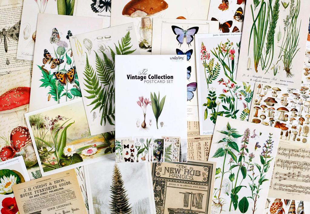 Wintertime Crafts Vintage Collection Postcard Pack of 30 Retro Style Nature and Ephemera Set Botanical, Postcards.