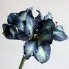 Simulation silk flower ornament, flannel simulation Clivia fake flower home furnishing hotel soft floor flower arrangement material Zhu Dinghong