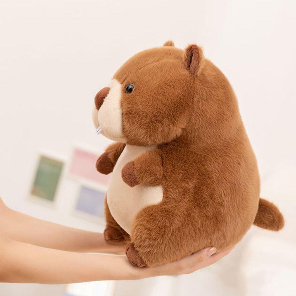 Fluffy Groundhog Plush Toy PP Cotton Chubby Marmot Stuffed Toy  Home Decor