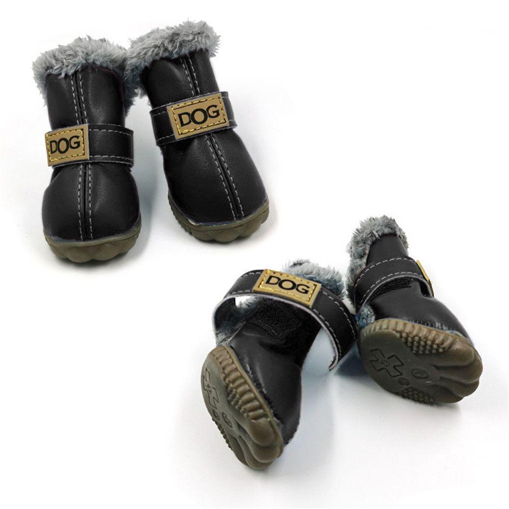 ugg dog shoes