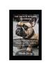 Kniha The French Bulldog Handbook : Everything You Need To Know About French Bulldog (Raising, Caring, Feeding And Companionship)