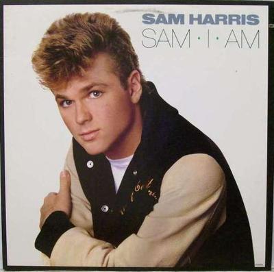 LP Record SAM HARRIS - Sam-I-Am 6165ML Motown 1986 US Folk Used