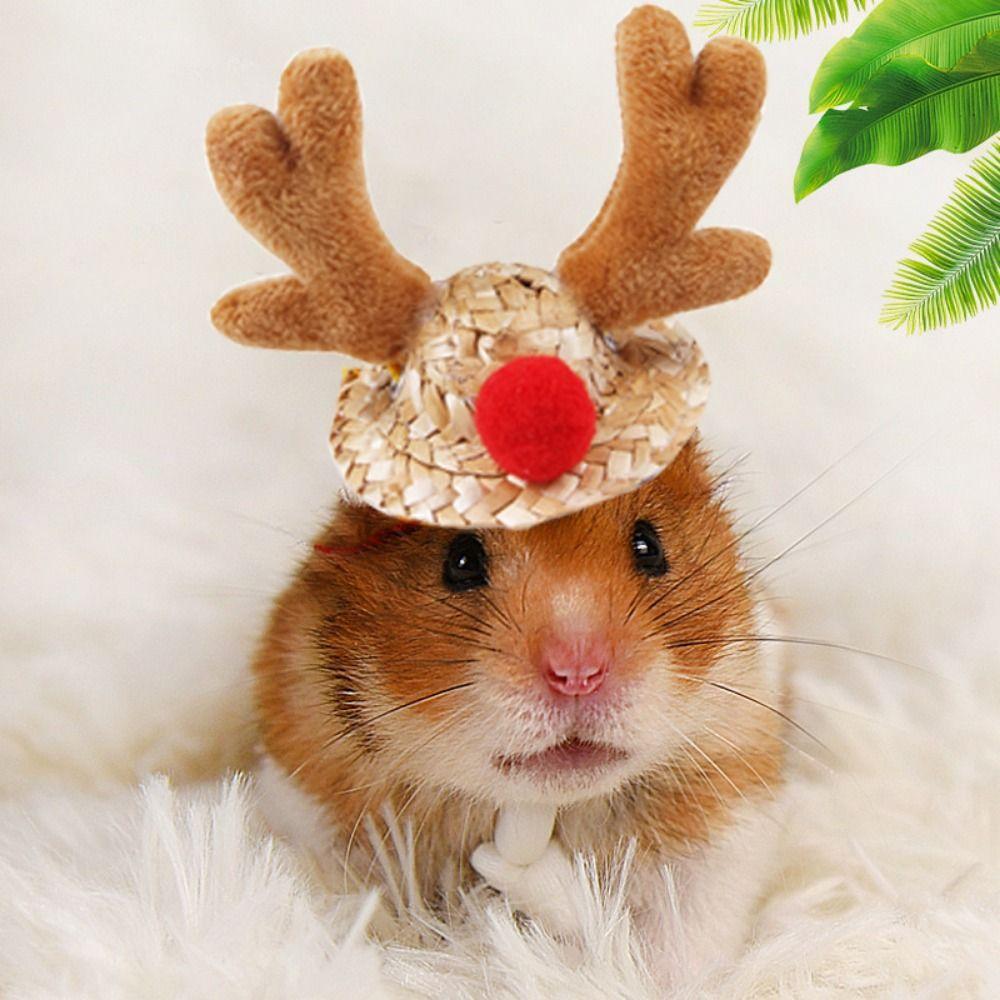 

Мультяшный хомяк шляпа с рогами лося соломенная шляпа хомяка косплей шляпа морские свинки головные уборы косплей вечеринка S-Style A