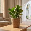 Decorațiuni pentru casă – Ghivece de flori decorative