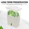 Herb Keeper Container Refrigerator Cilantro Vanilla Vegetables Fresh Preservation Box Large Capacity Kitchen Freshness Bottle