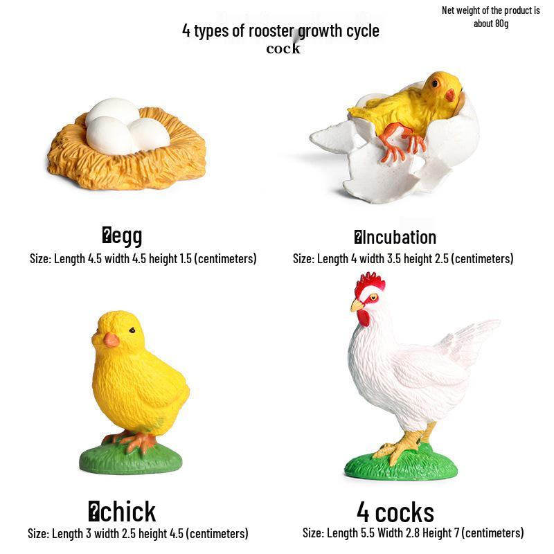 Children's Cognitive Toys: Frog Tadpole Growth Cycle Models