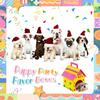 Miniature Boxes Gift Boxes Foldable Dog House Shaped Boxes Treat Gift Boxes  Wedding Festival